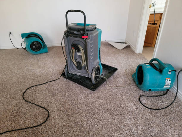 Best Water damage repair service  in Stockton University, NJ