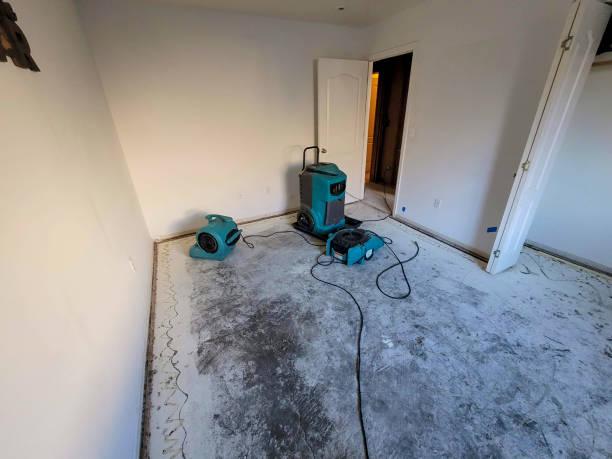 Best Water damage contractors near me  in Stockton University, NJ