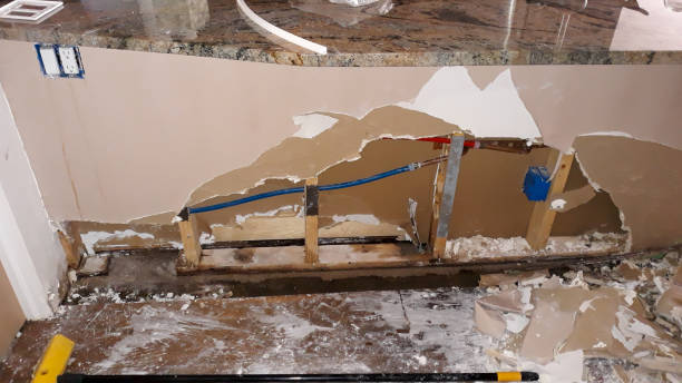 Best Ceiling water damage repair  in Stockton University, NJ