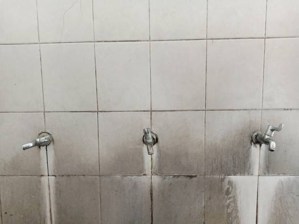 Best Flood restoration services  in Stockton University, NJ