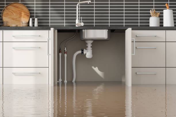 Best Local water damage restoration  in Stockton University, NJ