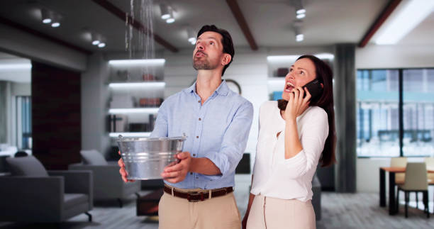 Best 24-hour water damage restoration  in Stockton University, NJ